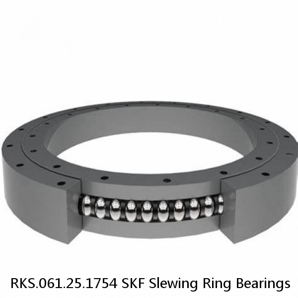 RKS.061.25.1754 SKF Slewing Ring Bearings