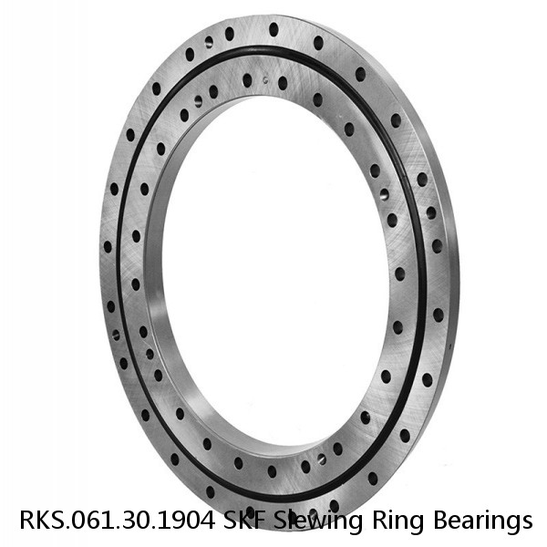 RKS.061.30.1904 SKF Slewing Ring Bearings