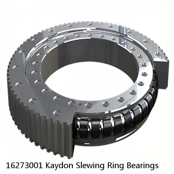 16273001 Kaydon Slewing Ring Bearings