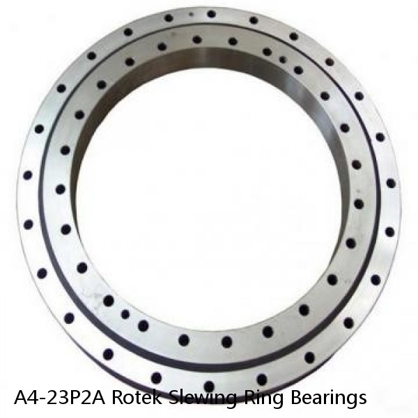 A4-23P2A Rotek Slewing Ring Bearings