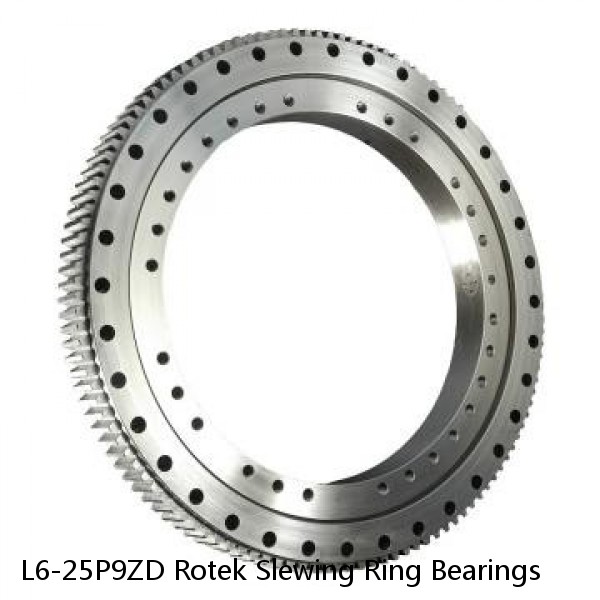 L6-25P9ZD Rotek Slewing Ring Bearings