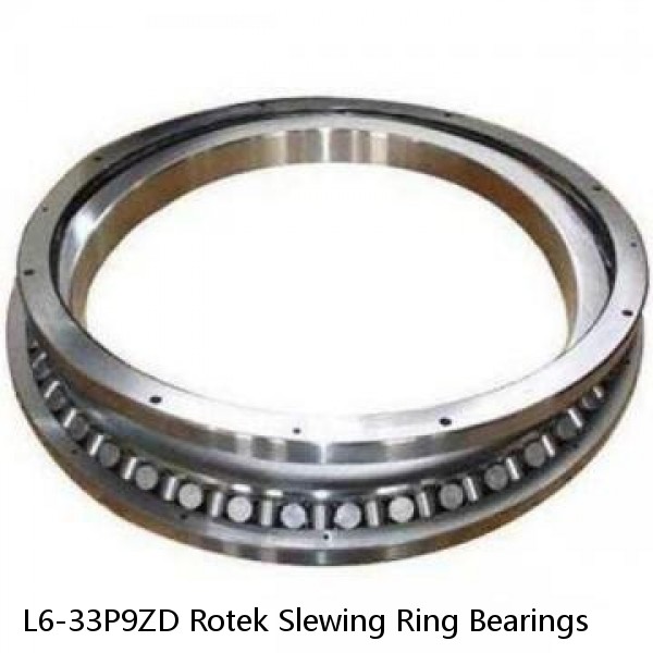 L6-33P9ZD Rotek Slewing Ring Bearings