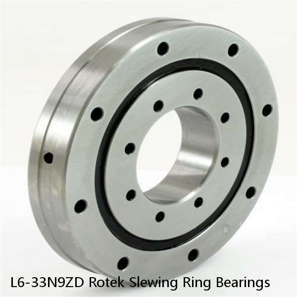 L6-33N9ZD Rotek Slewing Ring Bearings