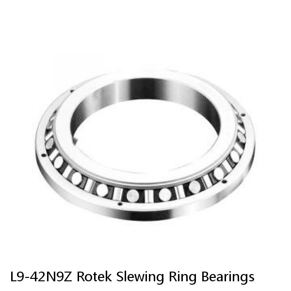 L9-42N9Z Rotek Slewing Ring Bearings