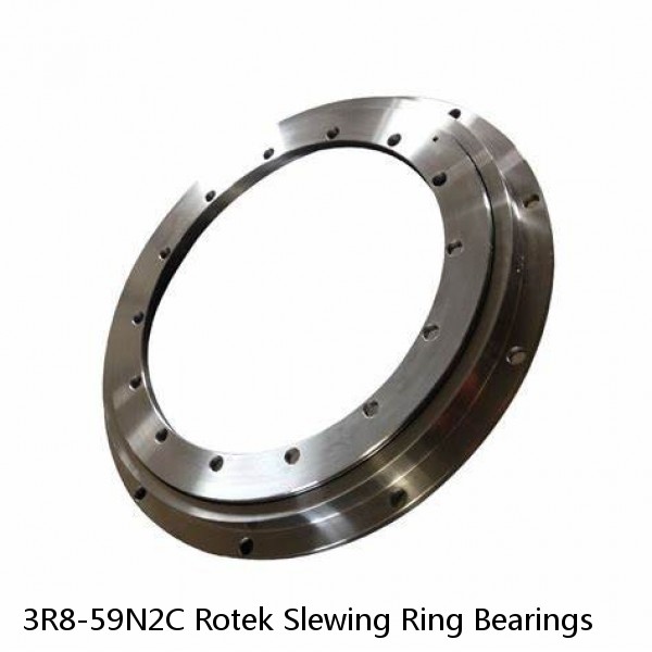 3R8-59N2C Rotek Slewing Ring Bearings