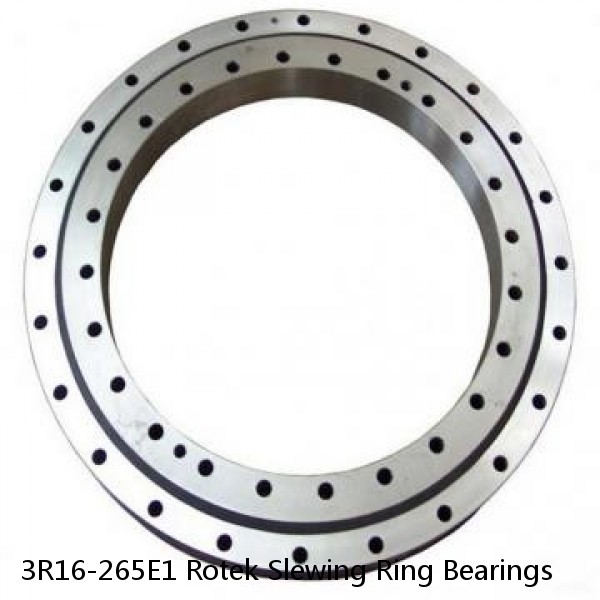 3R16-265E1 Rotek Slewing Ring Bearings