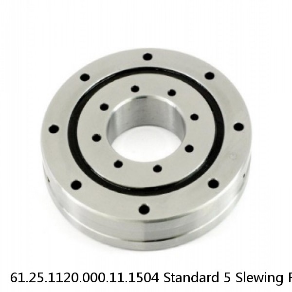 61.25.1120.000.11.1504 Standard 5 Slewing Ring Bearings