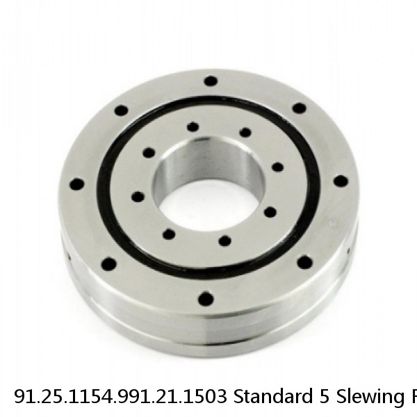 91.25.1154.991.21.1503 Standard 5 Slewing Ring Bearings