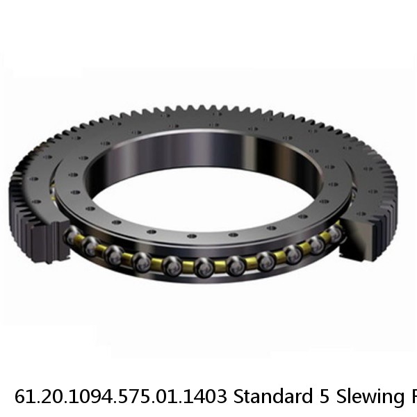 61.20.1094.575.01.1403 Standard 5 Slewing Ring Bearings