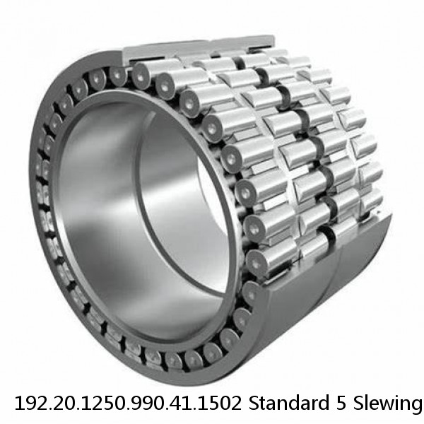 192.20.1250.990.41.1502 Standard 5 Slewing Ring Bearings