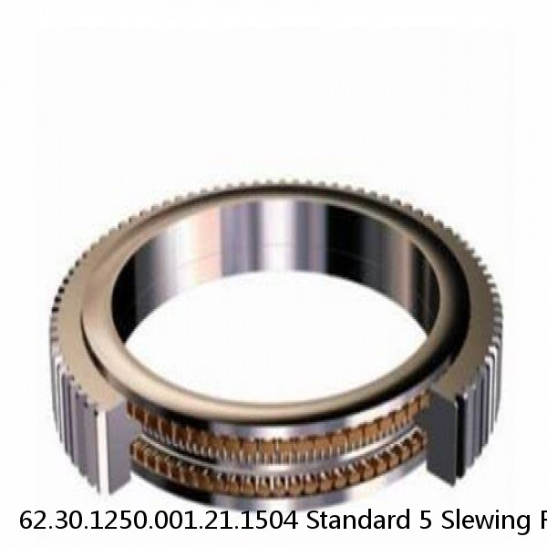 62.30.1250.001.21.1504 Standard 5 Slewing Ring Bearings