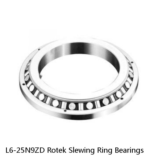 L6-25N9ZD Rotek Slewing Ring Bearings