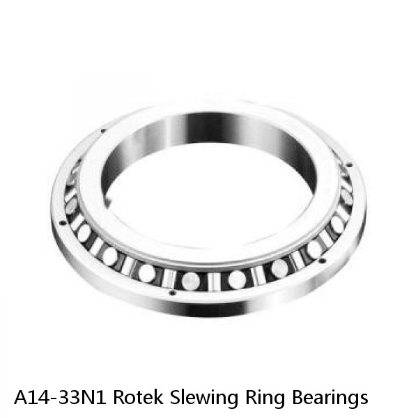 A14-33N1 Rotek Slewing Ring Bearings