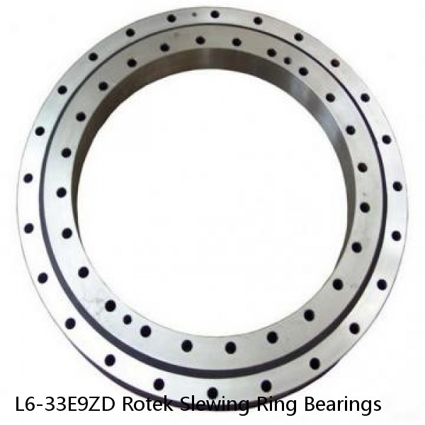 L6-33E9ZD Rotek Slewing Ring Bearings