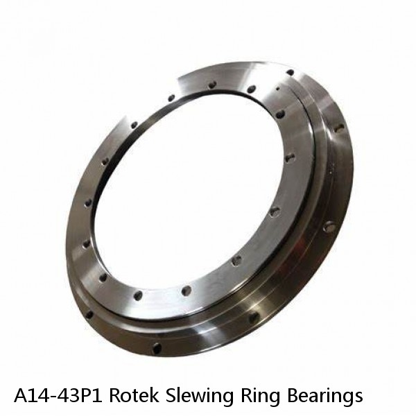 A14-43P1 Rotek Slewing Ring Bearings