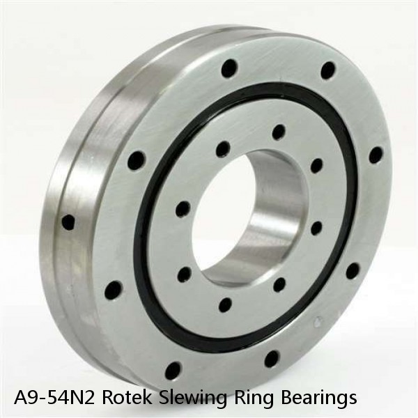 A9-54N2 Rotek Slewing Ring Bearings