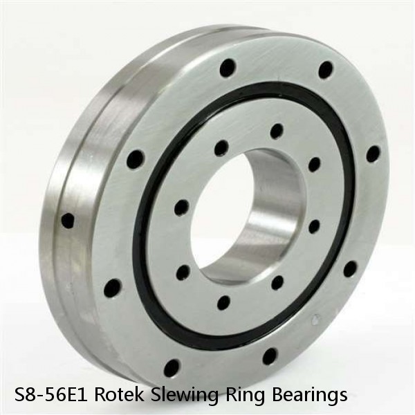 S8-56E1 Rotek Slewing Ring Bearings