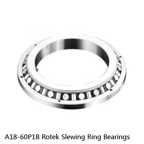 A18-60P1B Rotek Slewing Ring Bearings