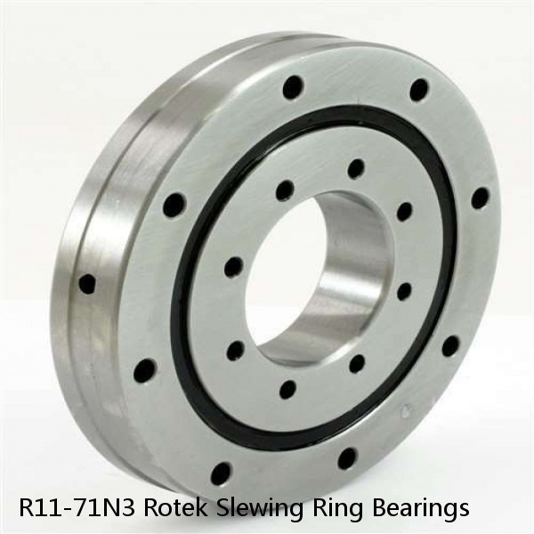 R11-71N3 Rotek Slewing Ring Bearings