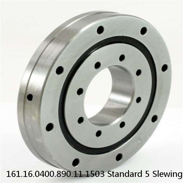 161.16.0400.890.11.1503 Standard 5 Slewing Ring Bearings